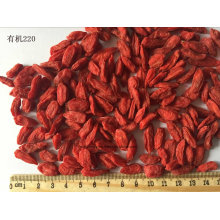 Органический сушеный ягод Goji, USDA, FDA, ЕС, кошерный